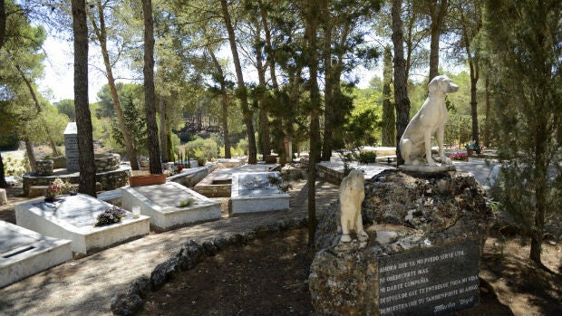 Cementerio de Mascotas de Madrid / Maya Balanya