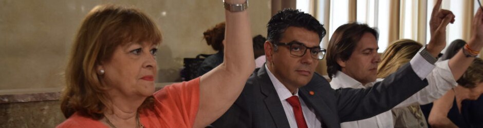 La concejal Mabel Hernández, junto al portavoz Miguel Cazorla, durante una votación en pleno./ ABC