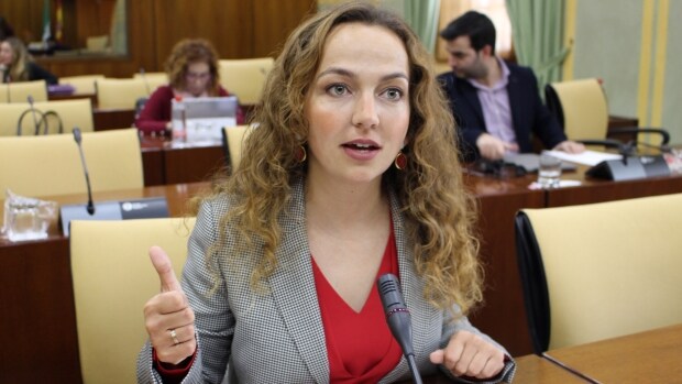 La parlamentaria de Ciudadanos, Marta Escrivá ha formulado la petición de ayuda a la Junta para una asociación visueña
