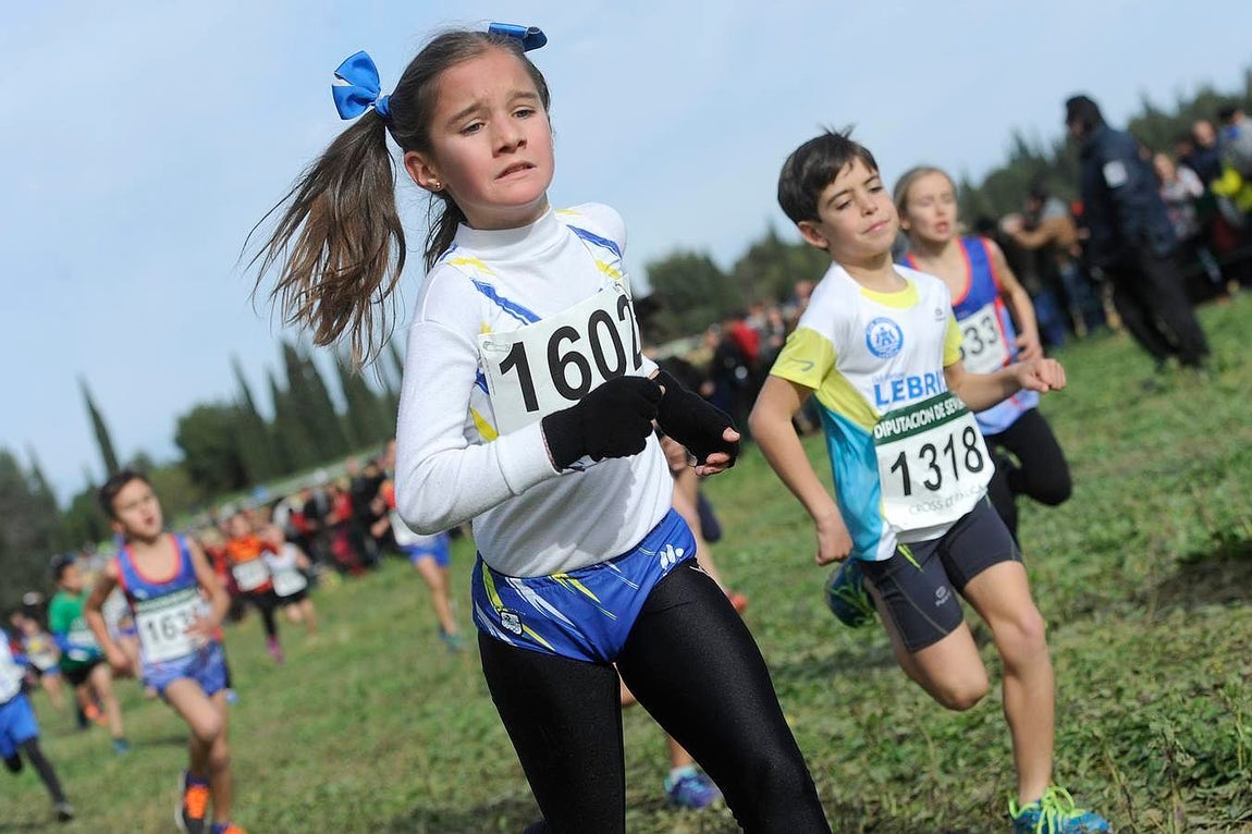 El Cross Internacional de Itálica, en imágenes