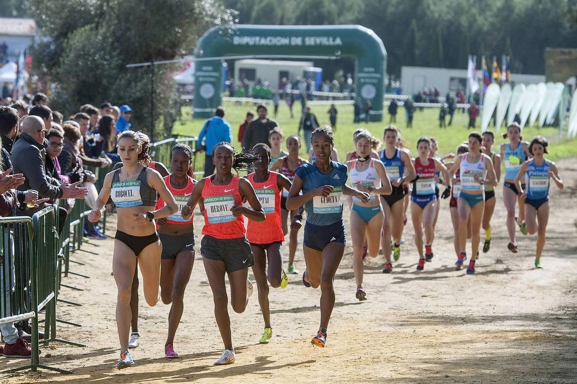 El Cross Internacional de Itálica, en imágenes