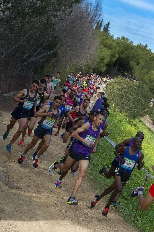 El Cross Internacional de Itálica, en imágenes