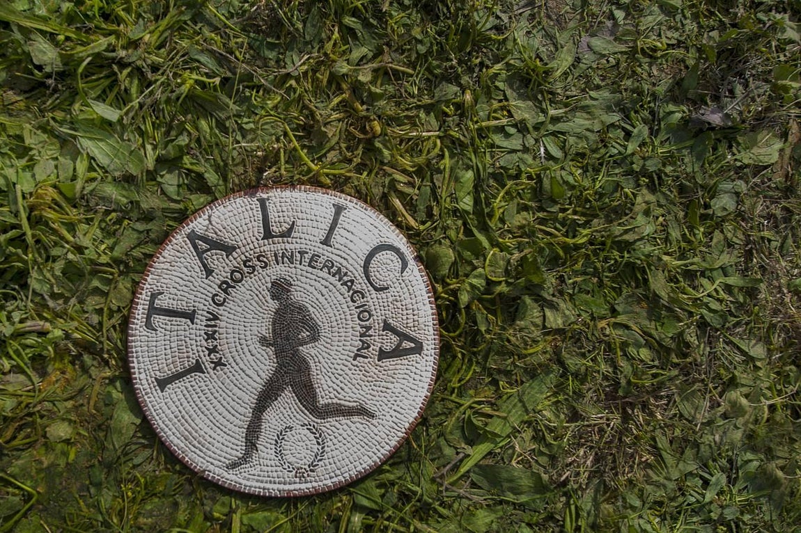 El Cross Internacional de Itálica, en imágenes