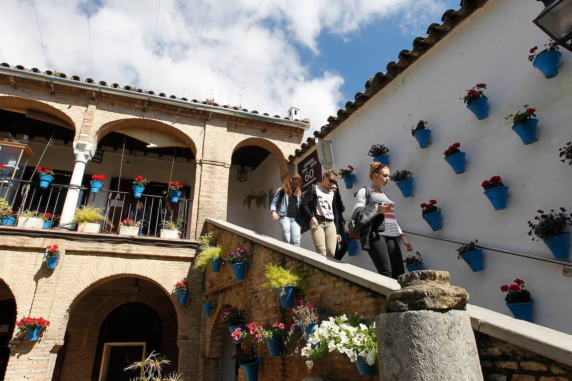 Una visita al Zoco municipal en imágenes