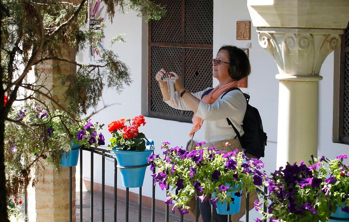 Una visita al Zoco municipal en imágenes