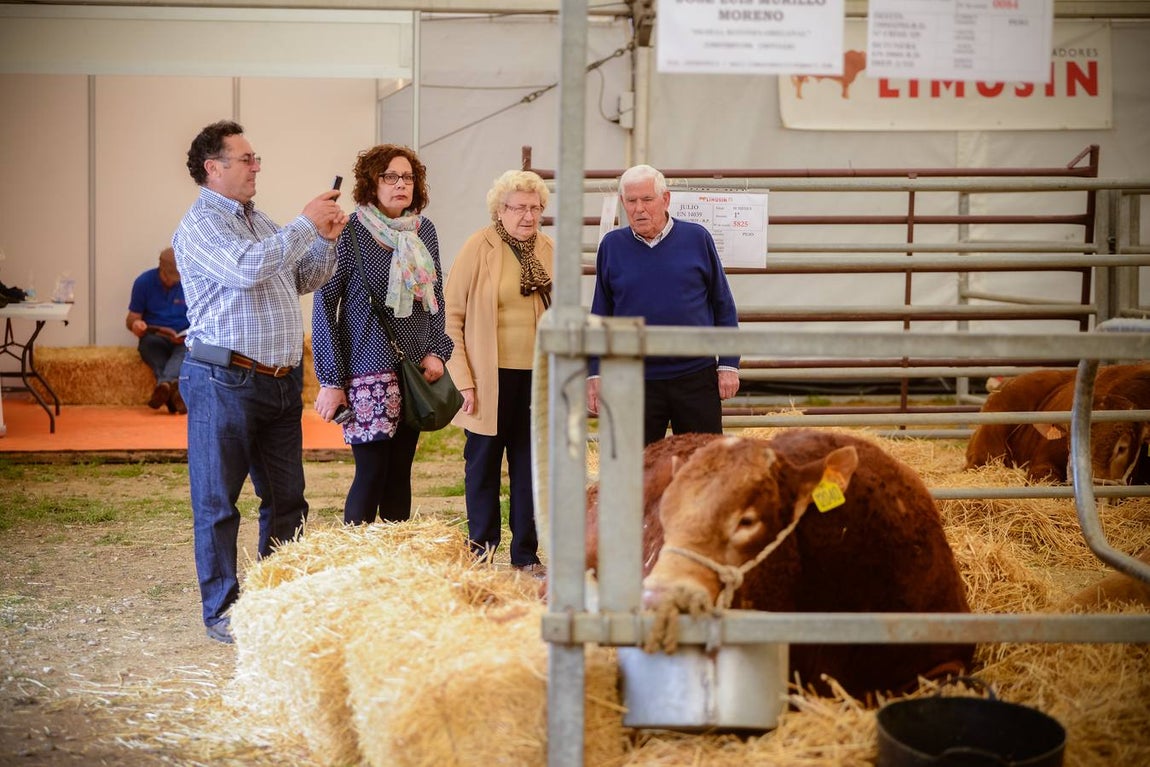 La inauguración de la Feria Agroganadera, en imágenes