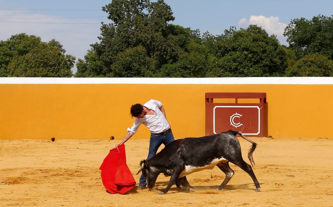 Finito, al natural, en imágenes