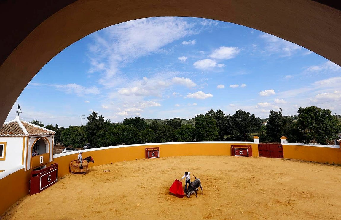 Finito, al natural, en imágenes