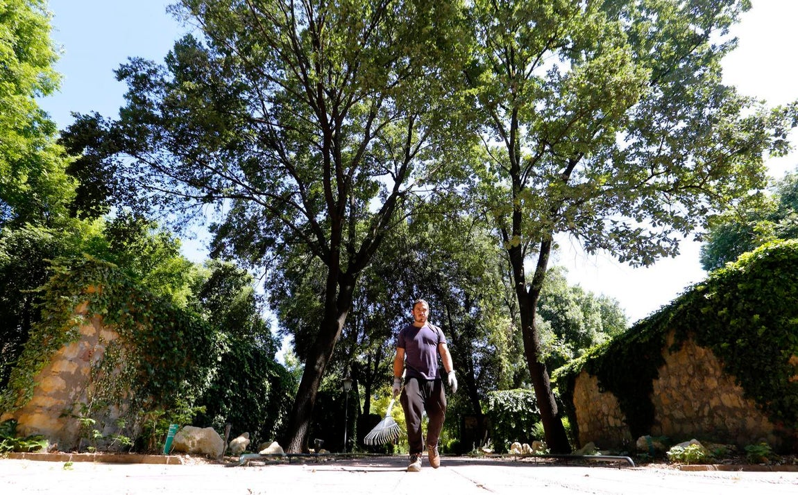 Un paseo por el Real Jardín Botánico de Córdoba, en imágenes