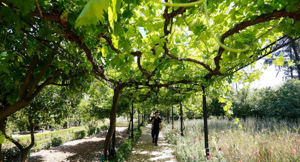 Un paseo por el Real Jardín Botánico de Córdoba, en imágenes