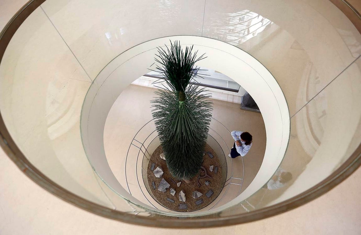 Un paseo por el Real Jardín Botánico de Córdoba, en imágenes