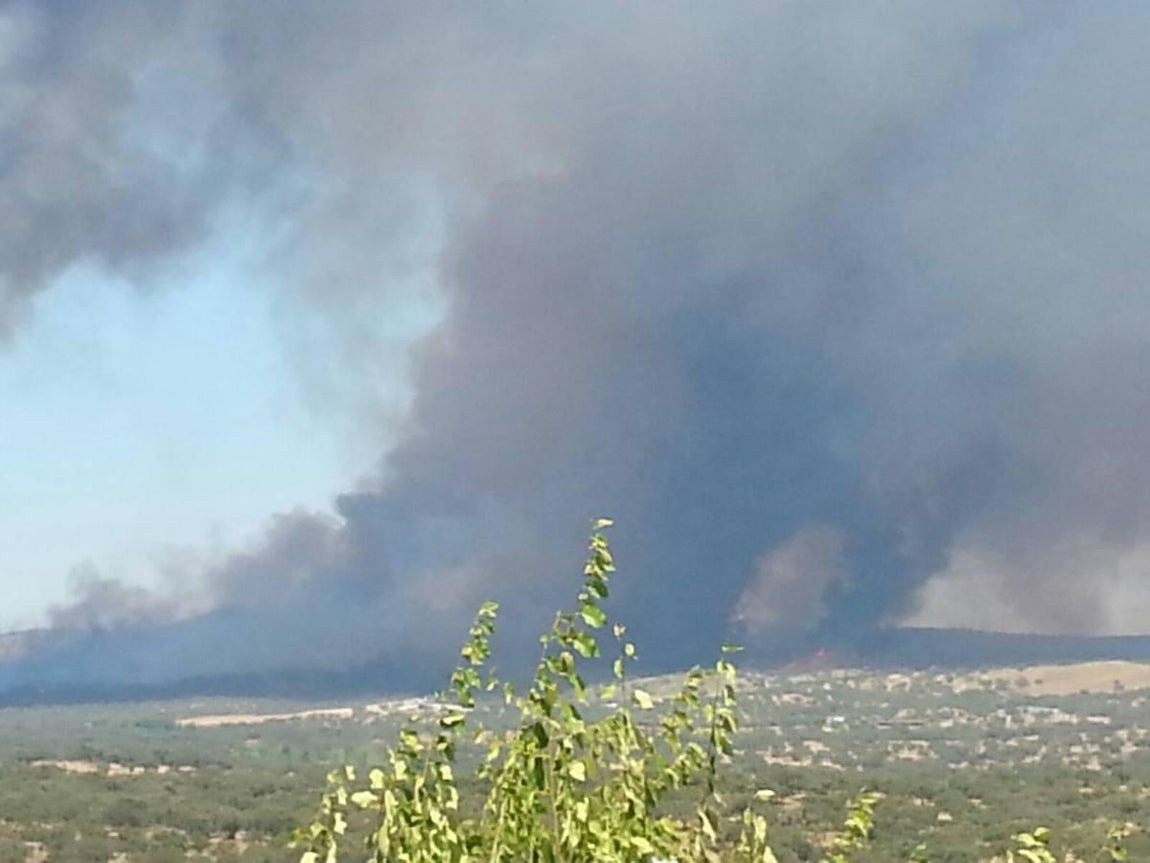 Cenizas tras el incendio de El Castillo de las Guardas