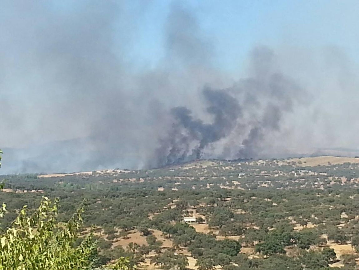 Cenizas tras el incendio de El Castillo de las Guardas