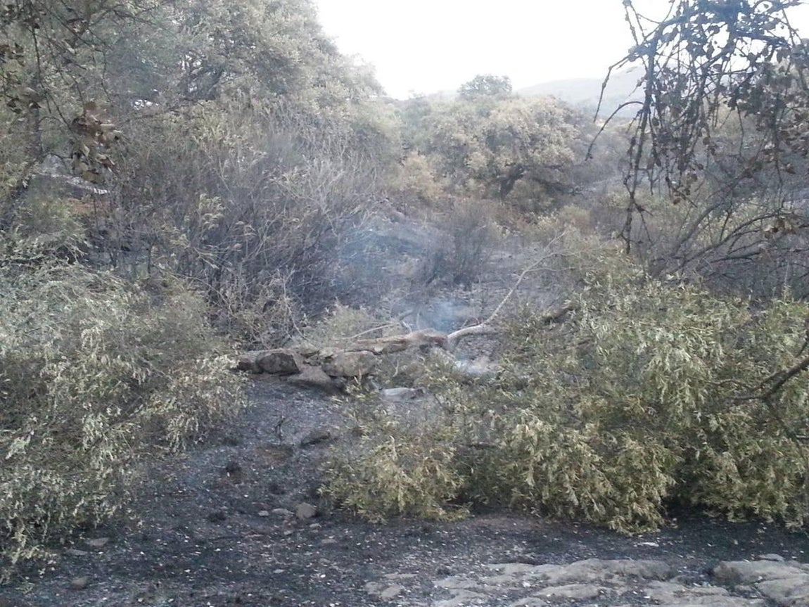 Cenizas tras el incendio de El Castillo de las Guardas