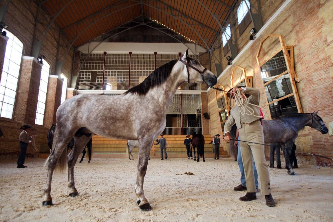 El arranque de Cabalcor, en imágenes