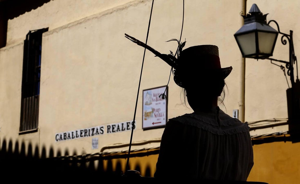La Feria del Caballo de Córdoba, en imágenes