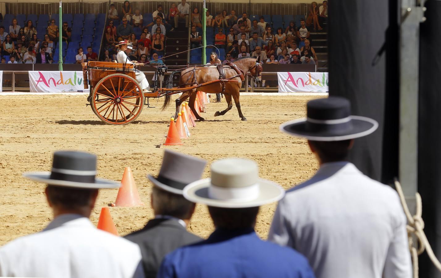 La Feria del Caballo de Córdoba, en imágenes