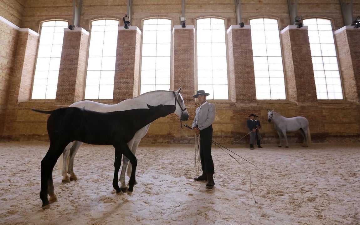 La Feria del Caballo de Córdoba, en imágenes