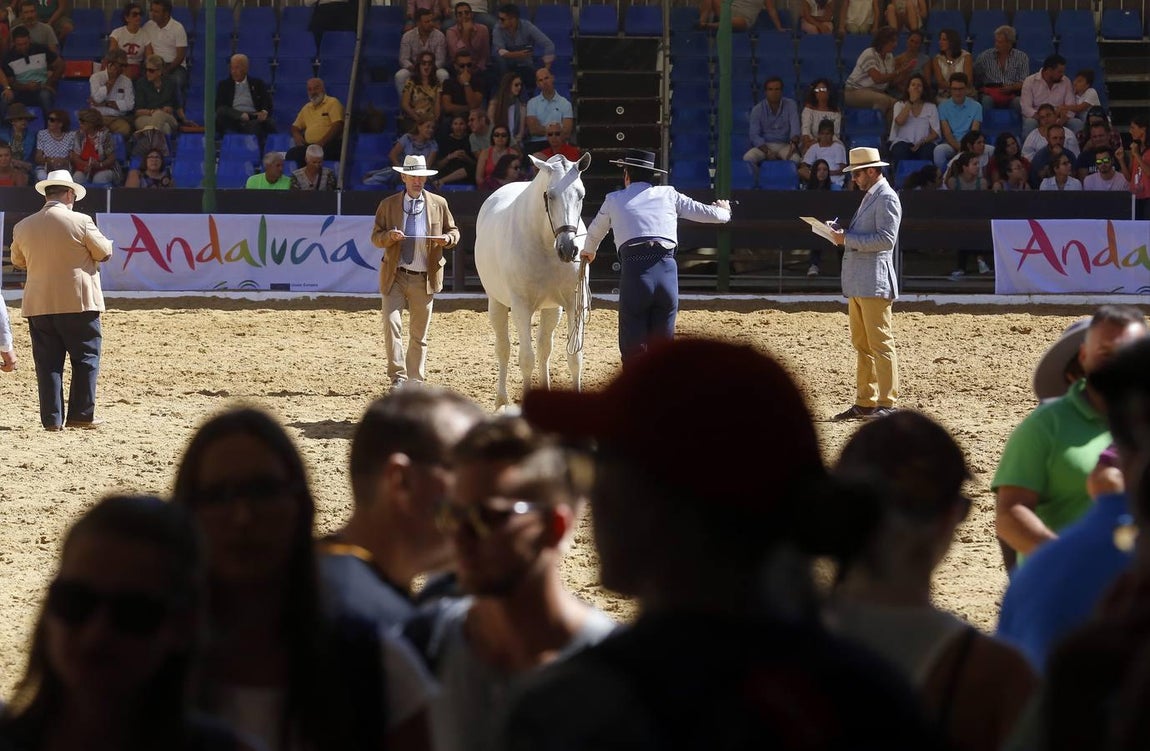 La Feria del Caballo de Córdoba, en imágenes