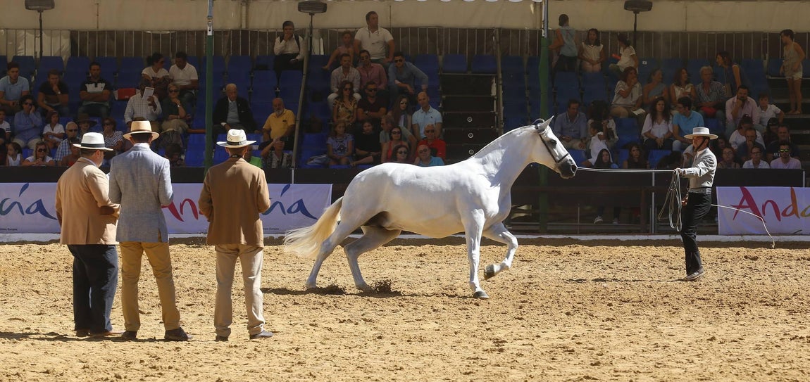 La Feria del Caballo de Córdoba, en imágenes