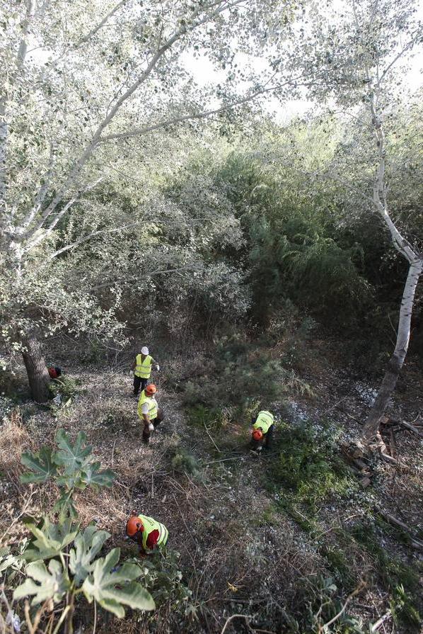 La peor cara del río Guadalquivir en Córdoba