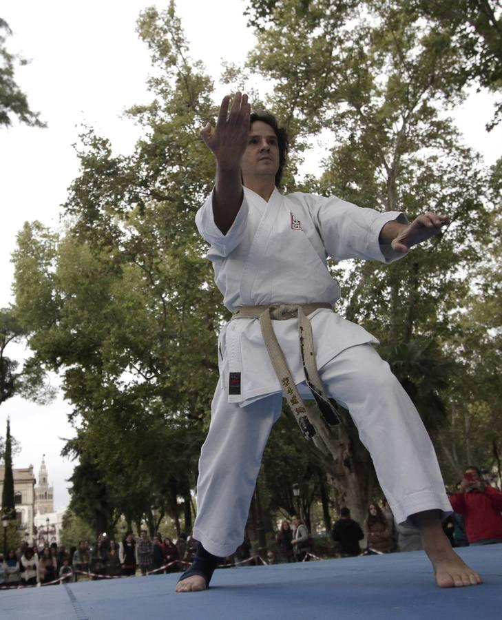 La Semana Cultural de Japón llega a las calles de Sevilla