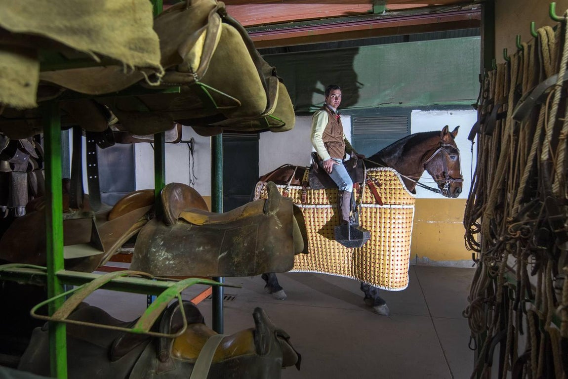 Mario Benítez, mozo de caballos en la plaza y encargado de la cuadra, se dedica a la doma y a la selección de ejemplares