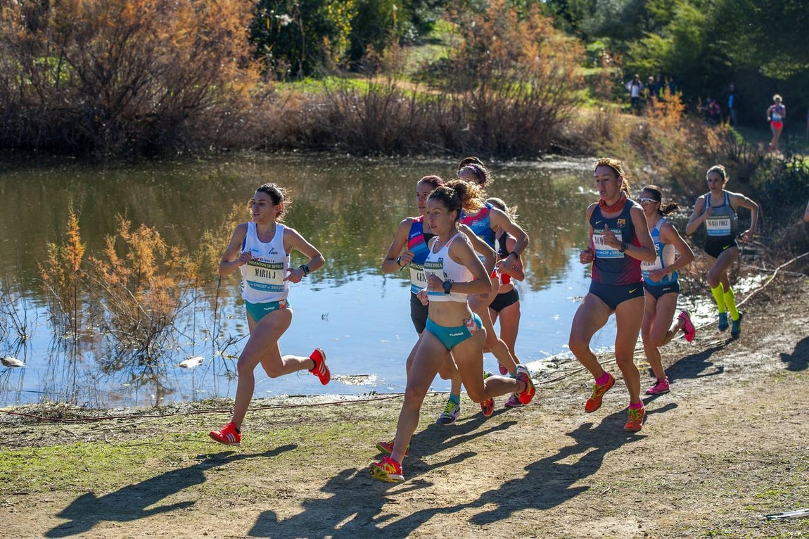 El Cross Internacional de Itálica, en imágenes