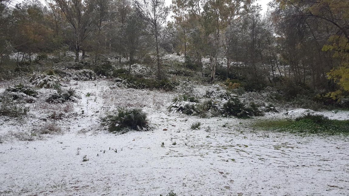 Montellano (Sierra de San Pablo)