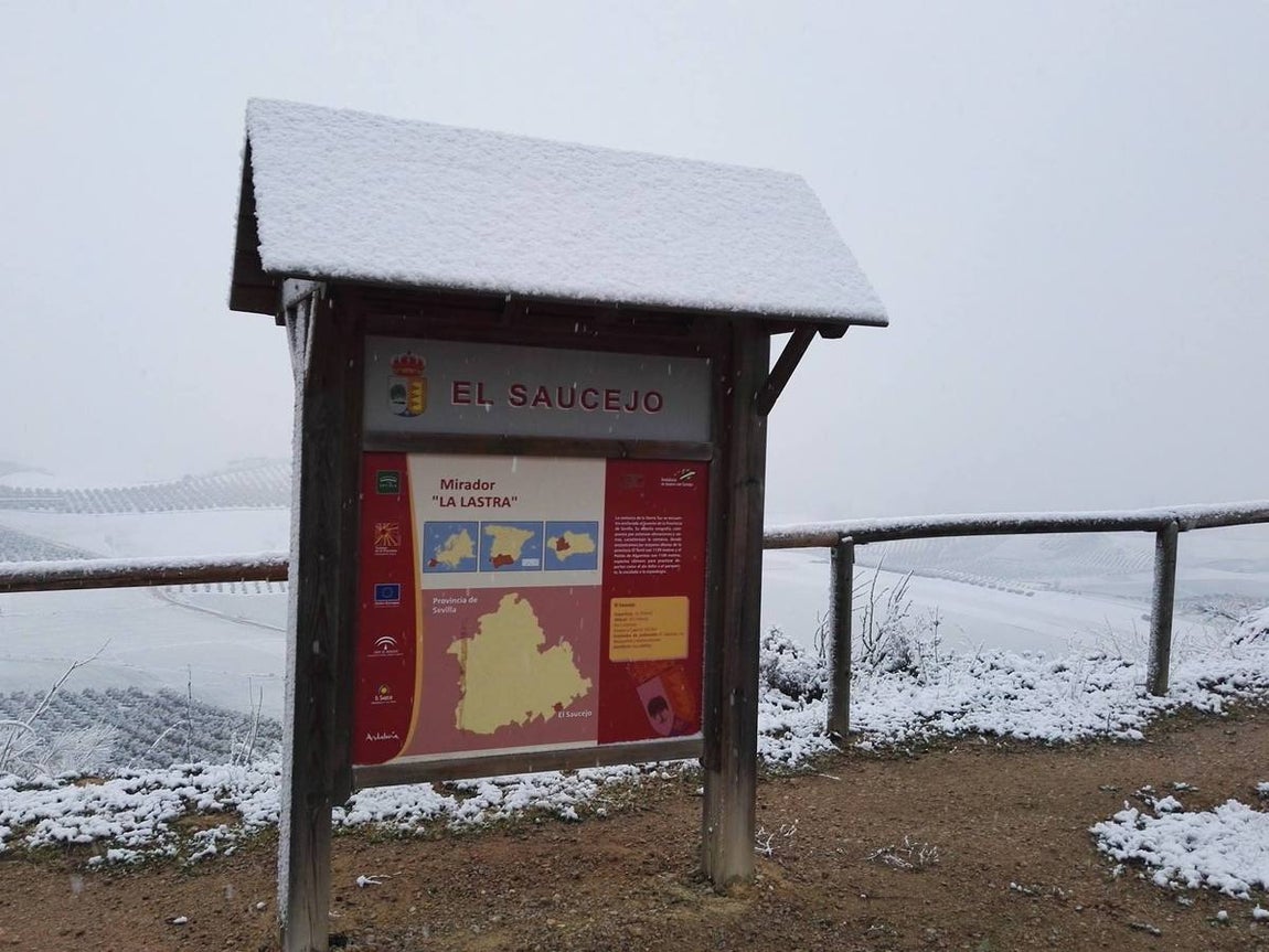 El Saucejo