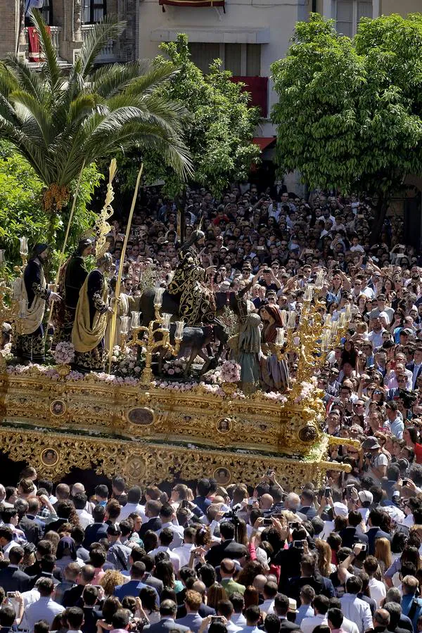 Las fotos de La Borriquita el Domingo de Ramos de la Semana Santa de Sevilla 2017