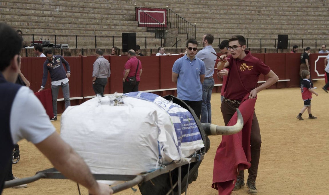 Esta actividad, organizada por la empresa Pagés en colaboración con la Fundación Cajasol, busca difundir los valores del toreo.