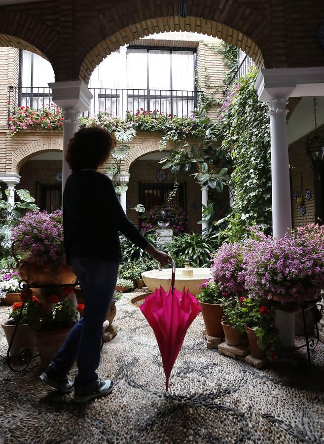Los patios de la Judería de Córdoba, en imágenes