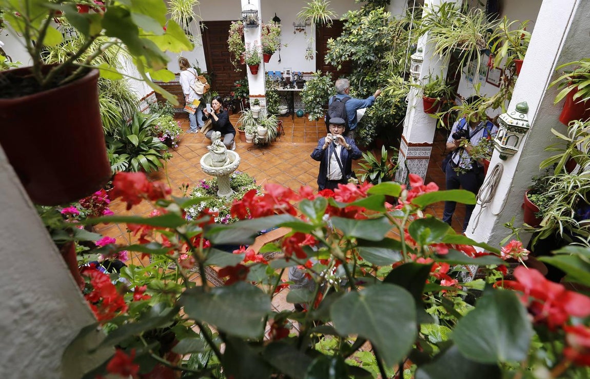 Los patios de la Judería de Córdoba, en imágenes