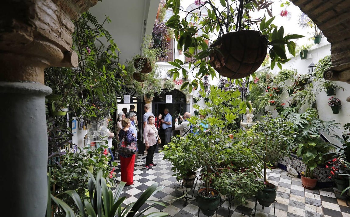 Los patios de la Judería de Córdoba, en imágenes