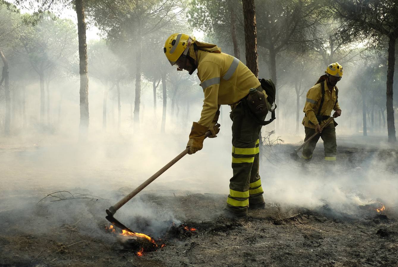 Las labores de extinción y lucha contra el incendio de Doñana, en imágenes