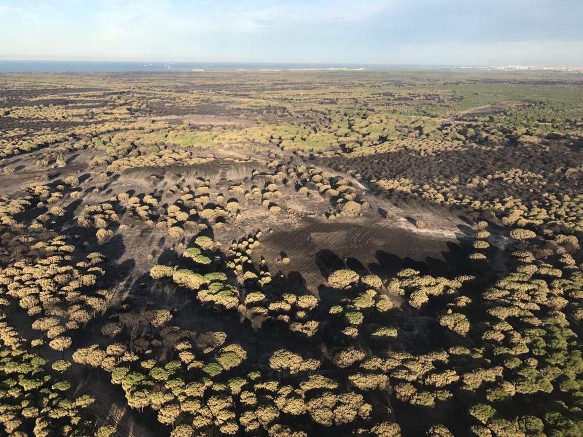 Fotografía aéreas del incendio que ha afectado al perímetro del Parque Nacional de Doñana, entre las localidades de Mazagón y Matalascañas