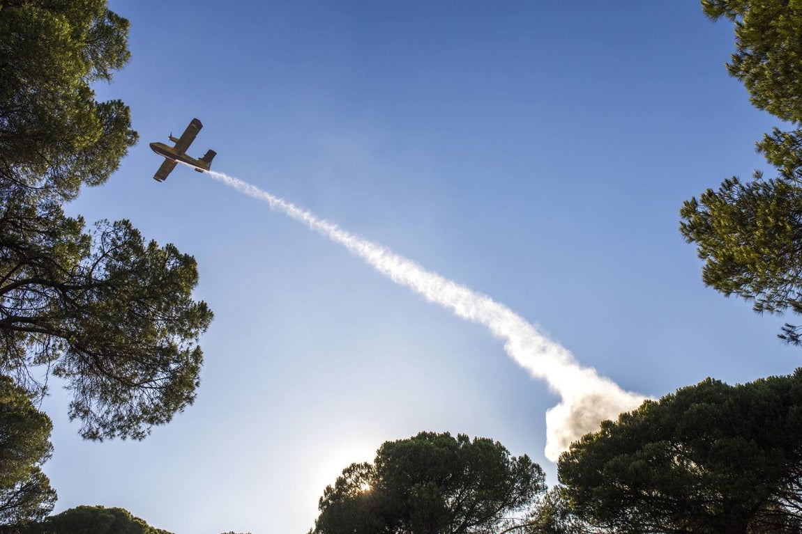 Estabilizado el incendio entre Gibraleón y El Portil