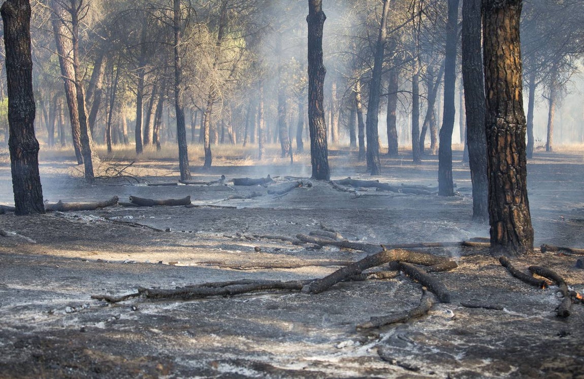 Estabilizado el incendio entre Gibraleón y El Portil