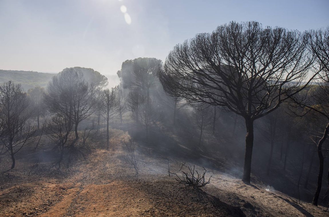 Estabilizado el incendio entre Gibraleón y El Portil