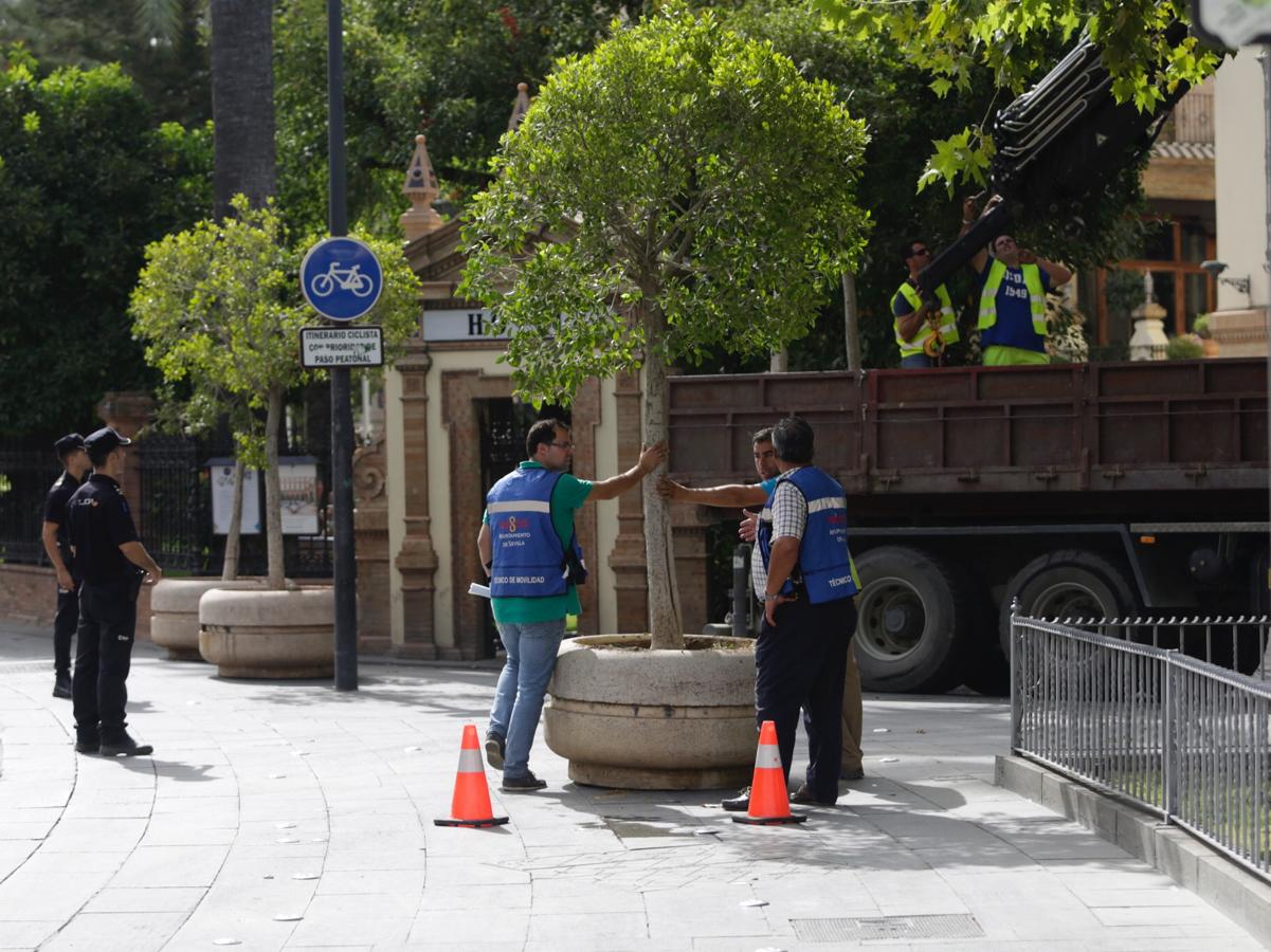 En imágenes: Sevilla se protege contra el terrorismo