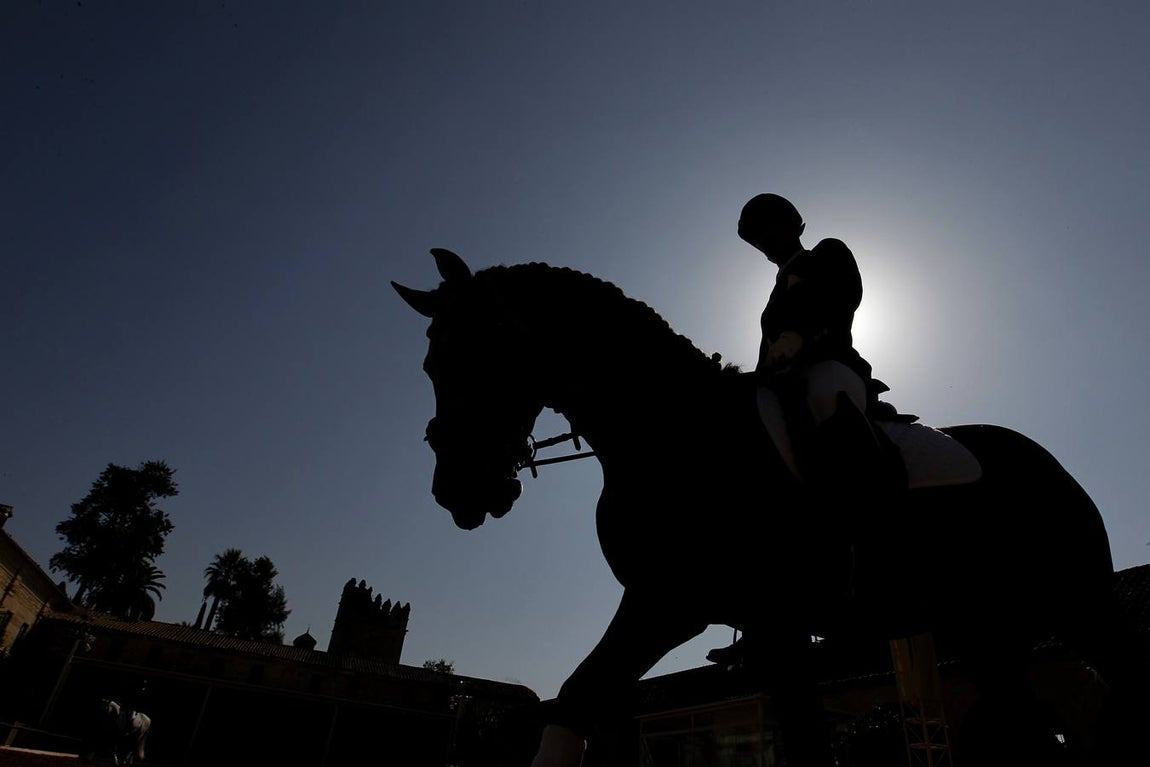 El primer día del Concurso Nacional de Doma Clásica, en imágenes