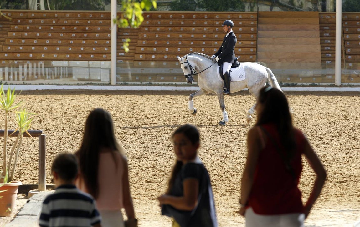 El primer día del Concurso Nacional de Doma Clásica, en imágenes