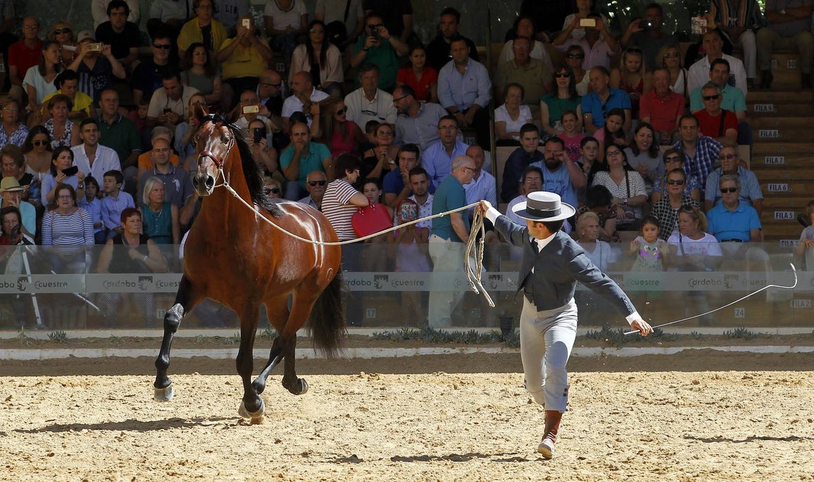 La última jornada de Cabalcor, en imágenes