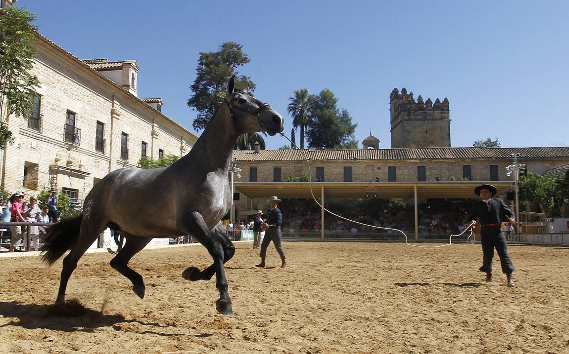 La última jornada de Cabalcor, en imágenes