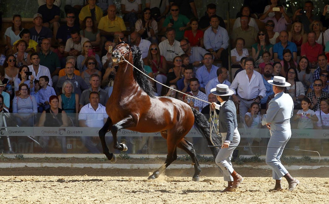 La última jornada de Cabalcor, en imágenes