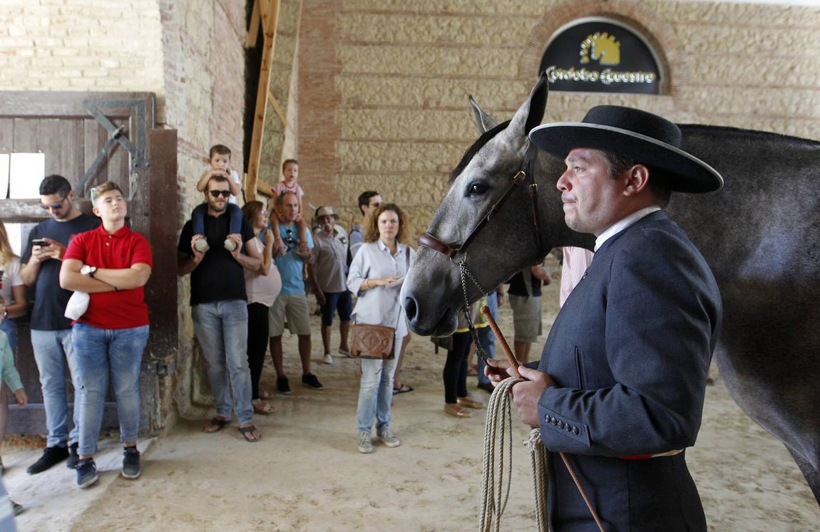 La última jornada de Cabalcor, en imágenes