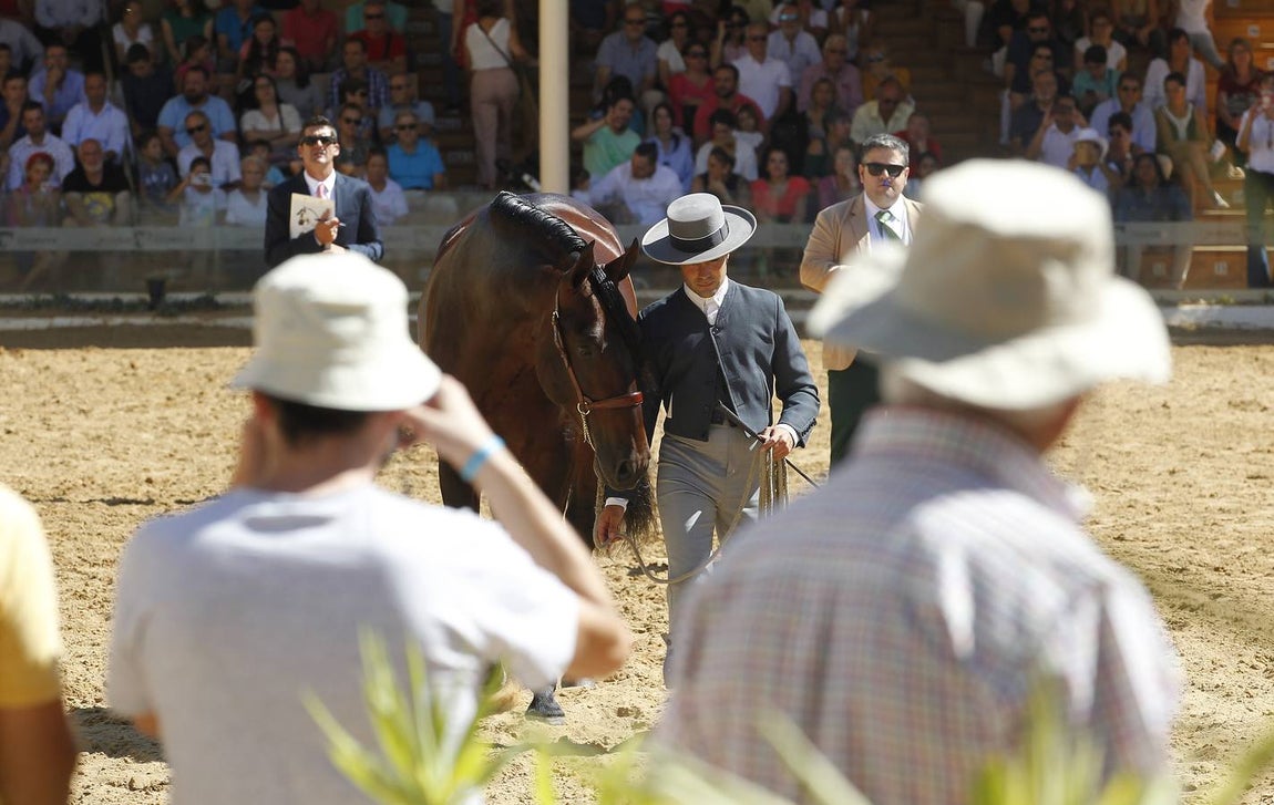 La última jornada de Cabalcor, en imágenes