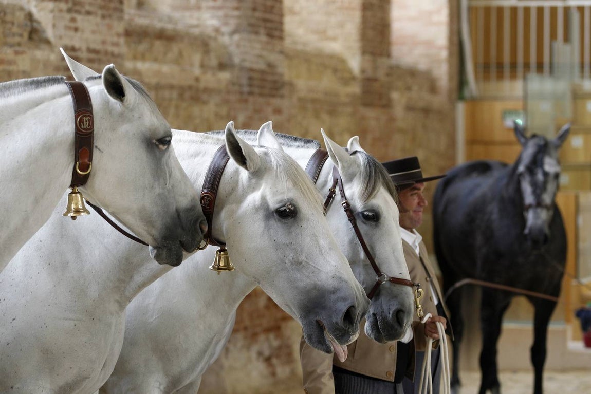 La última jornada de Cabalcor, en imágenes