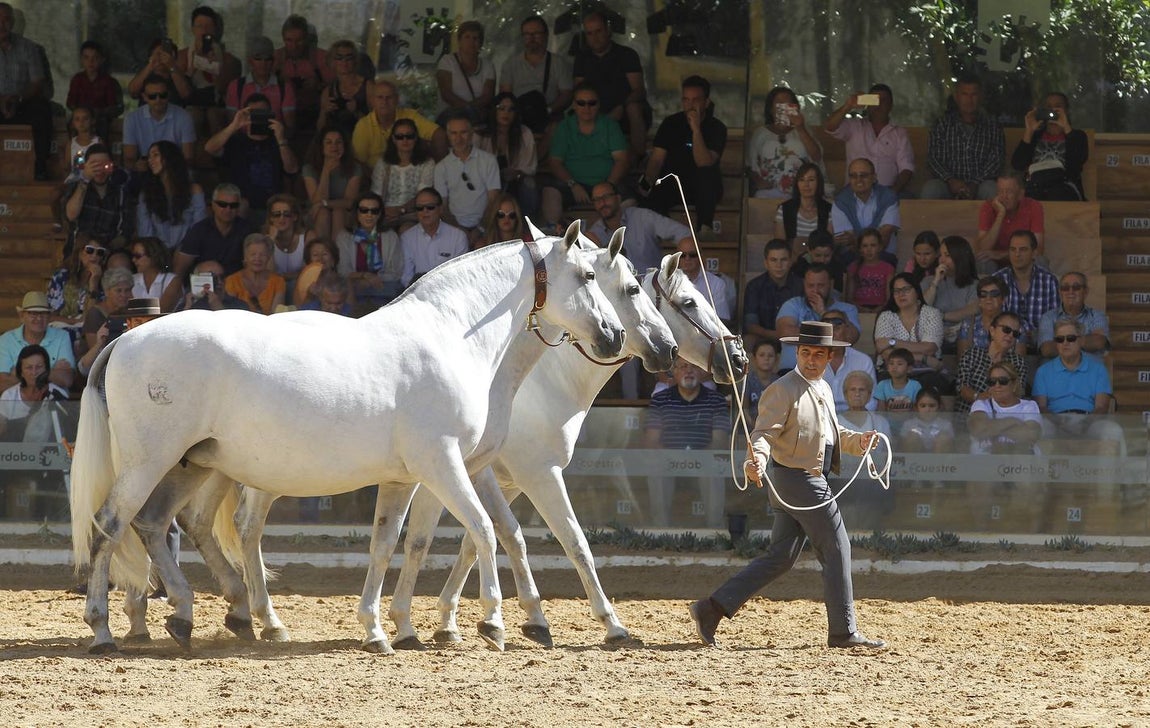 La última jornada de Cabalcor, en imágenes